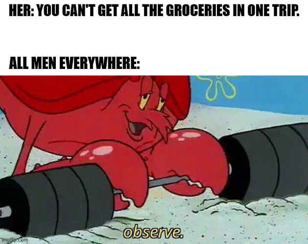 I'm being efficient!! | HER: YOU CAN'T GET ALL THE GROCERIES IN ONE TRIP. ALL MEN EVERYWHERE: | image tagged in observe | made w/ Imgflip meme maker