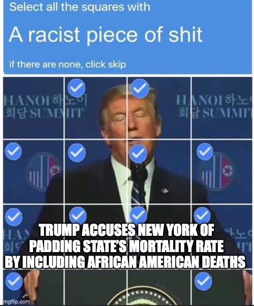 Sore-Loser-in-Chief | TRUMP ACCUSES NEW YORK OF PADDING STATE’S MORTALITY RATE BY INCLUDING AFRICAN AMERICAN DEATHS | image tagged in trump racist pos captcha,trump martial law,trump covid deaths new york | made w/ Imgflip meme maker