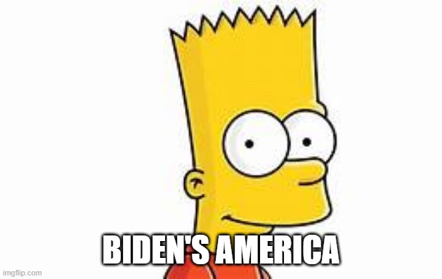 bart | BIDEN'S AMERICA | image tagged in bart | made w/ Imgflip meme maker