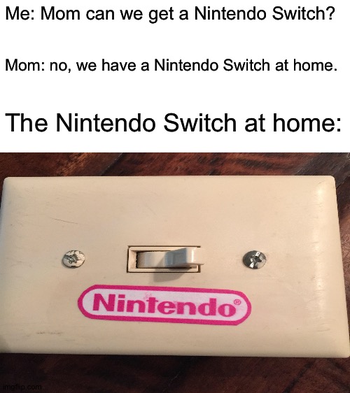 I guess that is a Nintendo Switch | Me: Mom can we get a Nintendo Switch? Mom: no, we have a Nintendo Switch at home. The Nintendo Switch at home: | image tagged in blank white template,memes,funny,nintendo,nintendo switch,switch | made w/ Imgflip meme maker