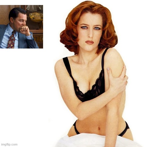 I've always liked Gillian Anderson (Scully) | image tagged in scully,hot,redhead | made w/ Imgflip meme maker