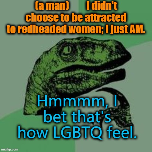 Would this be a good argument vs my fellow straights? | (a man)         I didn't choose to be attracted to redheaded women; I just AM. Hmmmm, I bet that's how LGBTQ feel. | image tagged in redheads,lgbtq | made w/ Imgflip meme maker