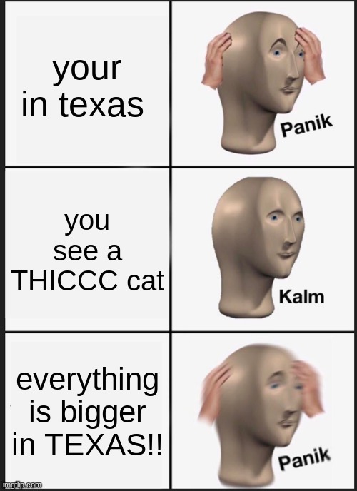 Panik Kalm Panik Meme | your in texas; you see a THICCC cat; everything is bigger in TEXAS!! | image tagged in memes,panik kalm panik | made w/ Imgflip meme maker