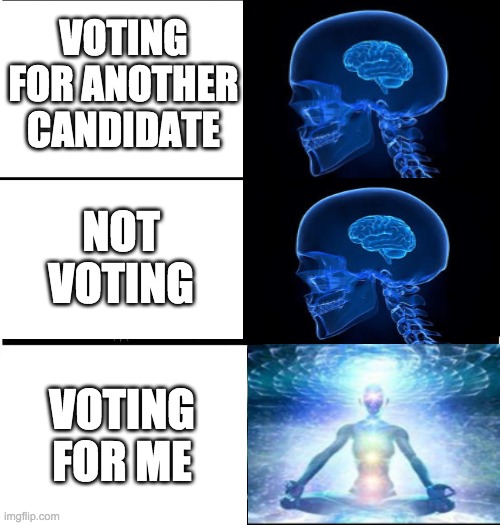 Vote for WhiteNatCap on December 29! | VOTING FOR ANOTHER CANDIDATE; NOT VOTING; VOTING FOR ME | image tagged in expanding brain,memes,politics | made w/ Imgflip meme maker