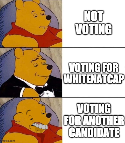 Vote for WhiteNatCap on December 29! | NOT VOTING; VOTING FOR WHITENATCAP; VOTING FOR ANOTHER CANDIDATE | image tagged in tuxedo winnie the pooh,memes,politics | made w/ Imgflip meme maker