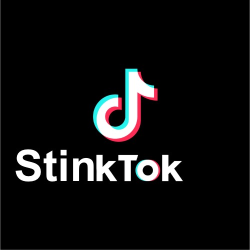 I made a new logo for TikTok just to show people it sucks | Stin | image tagged in tiktok logo | made w/ Imgflip meme maker