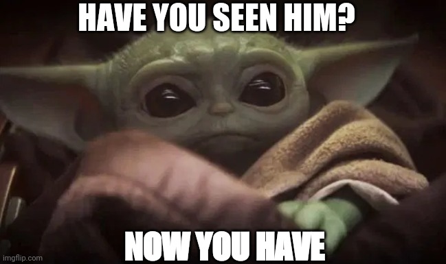 Baby Yoda | HAVE YOU SEEN HIM? NOW YOU HAVE | image tagged in baby yoda | made w/ Imgflip meme maker