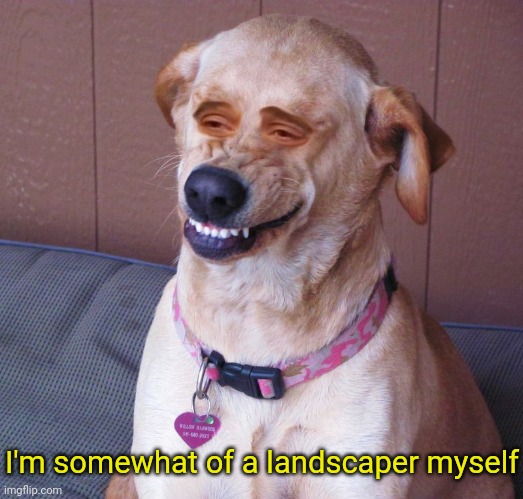 Dog smile | I'm somewhat of a landscaper myself | image tagged in dog smile | made w/ Imgflip meme maker