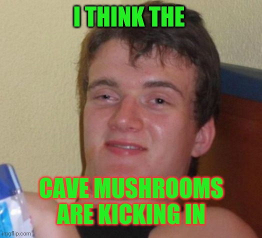 10 Guy Meme | I THINK THE CAVE MUSHROOMS ARE KICKING IN | image tagged in memes,10 guy | made w/ Imgflip meme maker