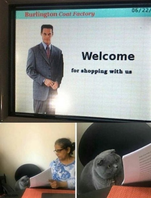 If you look at it more you will see the fail | image tagged in wrong answer cat | made w/ Imgflip meme maker