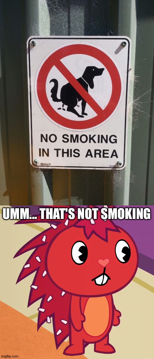 That's a pooping dog! | UMM... THAT'S NOT SMOKING | image tagged in flaky htf,funny | made w/ Imgflip meme maker