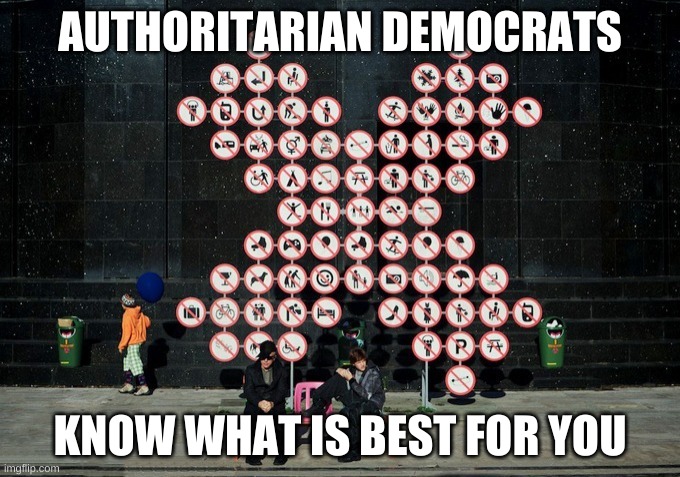 Authoritarian Democrats at work | AUTHORITARIAN DEMOCRATS; KNOW WHAT IS BEST FOR YOU | image tagged in zero theorem sign,authoritarian,democrats,rules,dictatorship,america | made w/ Imgflip meme maker
