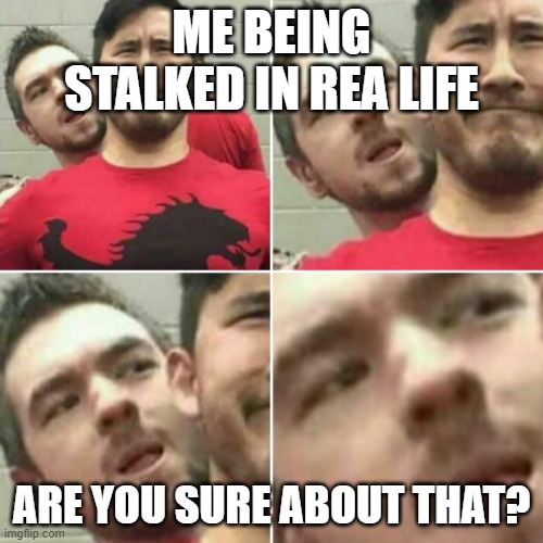 me being stalked in rea life | ME BEING STALKED IN REA LIFE; ARE YOU SURE ABOUT THAT? | image tagged in markiplier stalker | made w/ Imgflip meme maker