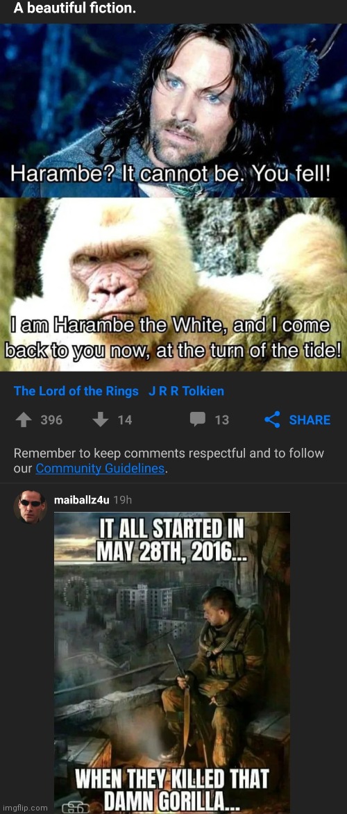 Harambe | image tagged in 2020 | made w/ Imgflip meme maker