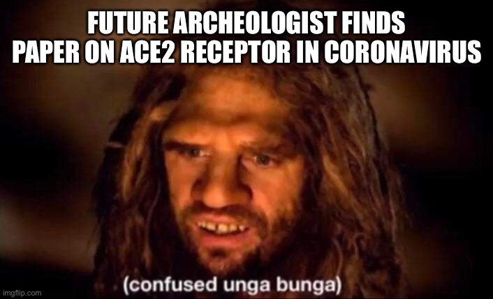 Confused Unga Bunga | FUTURE ARCHEOLOGIST FINDS PAPER ON ACE2 RECEPTOR IN CORONAVIRUS | image tagged in confused unga bunga,memes | made w/ Imgflip meme maker