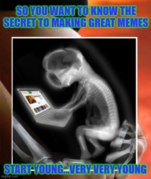 You gotta start somewhere... | SO YOU WANT TO KNOW THE SECRET TO MAKING GREAT MEMES; START YOUNG...VERY VERY YOUNG | image tagged in fetus using laptop,memes,baby,funny,making memes,start somewhere | made w/ Imgflip meme maker