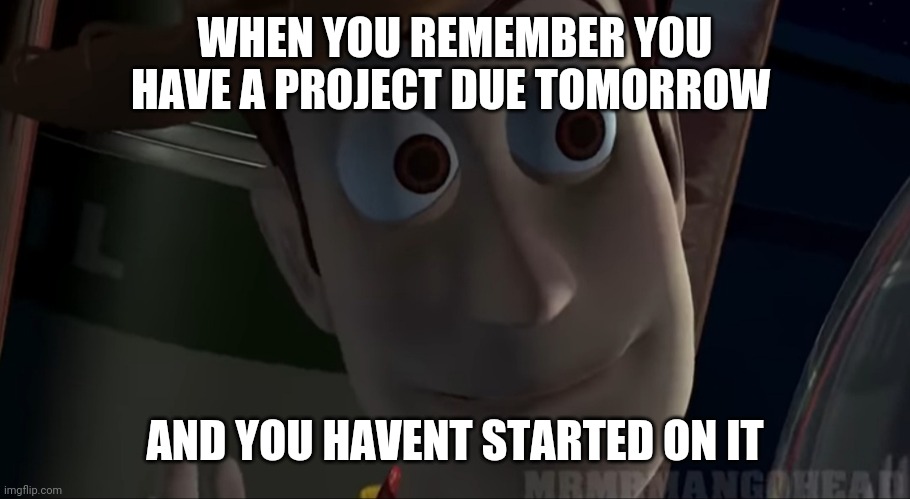Woody Stare | WHEN YOU REMEMBER YOU HAVE A PROJECT DUE TOMORROW; AND YOU HAVENT STARTED ON IT | image tagged in woody stare | made w/ Imgflip meme maker