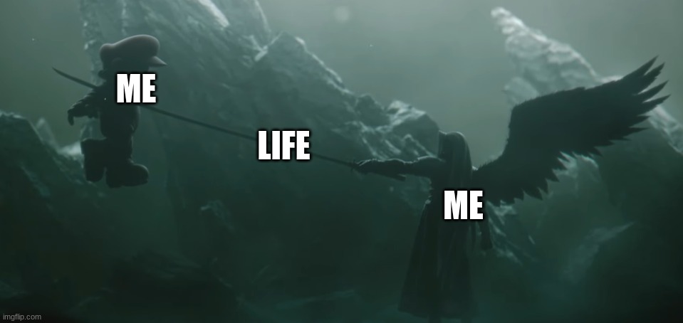Me | ME; LIFE; ME | image tagged in sephiroth kills mario | made w/ Imgflip meme maker