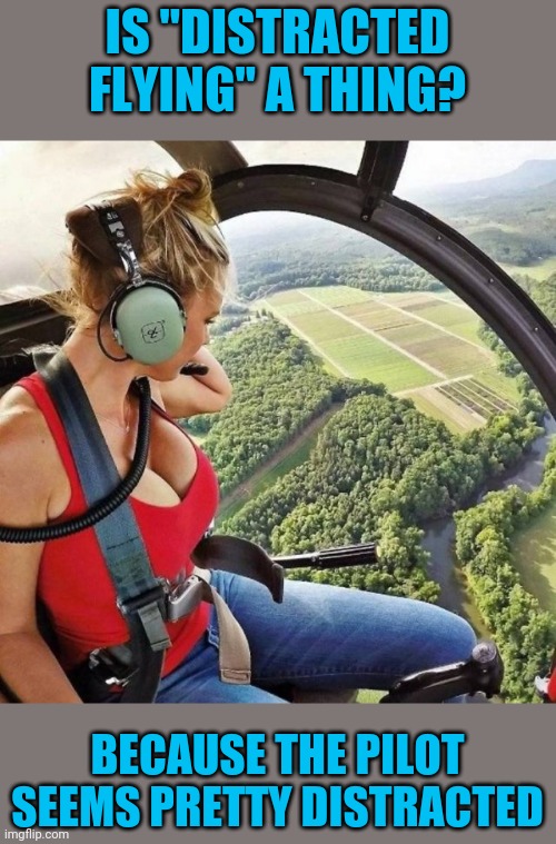 She's pretty distracting | IS "DISTRACTED FLYING" A THING? BECAUSE THE PILOT SEEMS PRETTY DISTRACTED | image tagged in boobs,pretty and distracting | made w/ Imgflip meme maker