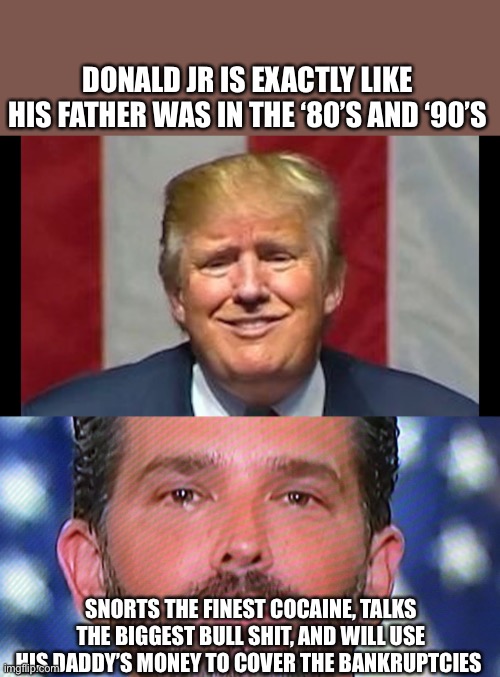 A chip off the old block | DONALD JR IS EXACTLY LIKE HIS FATHER WAS IN THE ‘80’S AND ‘90’S; SNORTS THE FINEST COCAINE, TALKS THE BIGGEST BULL SHIT, AND WILL USE HIS DADDY’S MONEY TO COVER THE BANKRUPTCIES | image tagged in donald trump,maga,bankruptcy,bullshit,joe biden,president | made w/ Imgflip meme maker