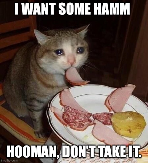 Crying Cat Meme | I WANT SOME HAMM; HOOMAN, DON’T TAKE IT. | image tagged in crying cat meme | made w/ Imgflip meme maker