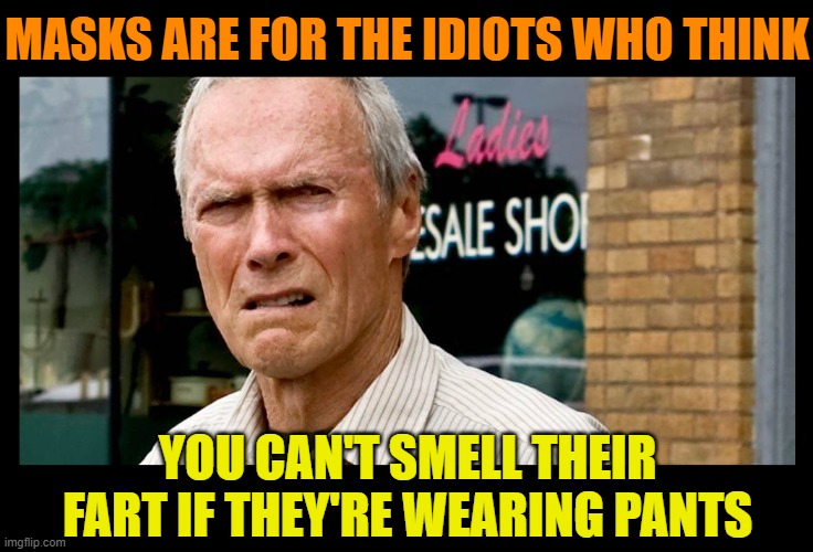 MASKS ARE FOR THE IDIOTS WHO THINK; YOU CAN'T SMELL THEIR FART IF THEY'RE WEARING PANTS | image tagged in masks,wear a mask,pandemic,covid-19,libtards,leftist | made w/ Imgflip meme maker