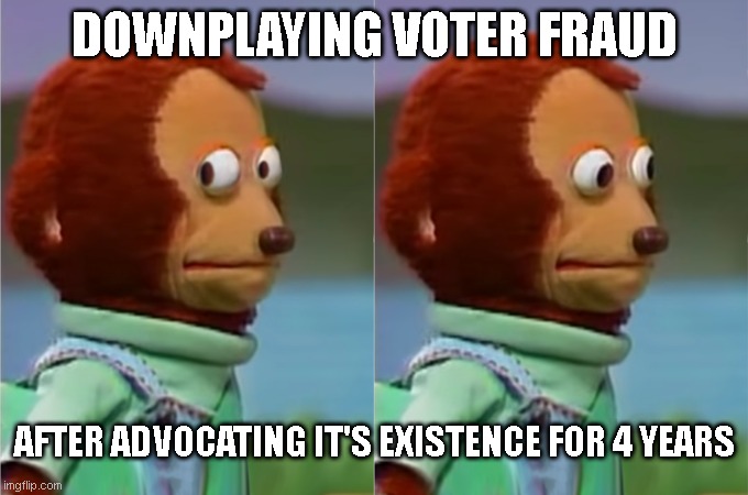 Voter Fraud isn't real! | DOWNPLAYING VOTER FRAUD; AFTER ADVOCATING IT'S EXISTENCE FOR 4 YEARS | image tagged in nervous monkey hd | made w/ Imgflip meme maker