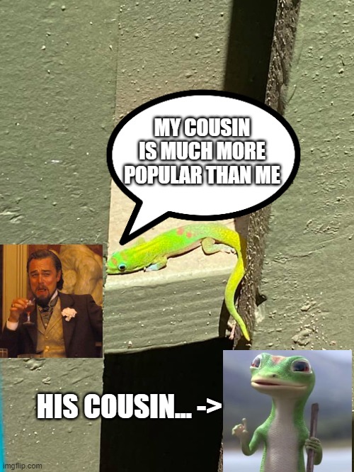 Geico Gecko's Cousin... | MY COUSIN IS MUCH MORE POPULAR THAN ME; HIS COUSIN... -> | image tagged in gecko | made w/ Imgflip meme maker