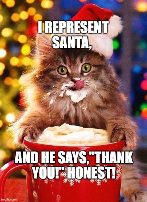 Christmas-cat | I REPRESENT SANTA, AND HE SAYS,"THANK YOU!" HONEST! | image tagged in christmas-cat | made w/ Imgflip meme maker