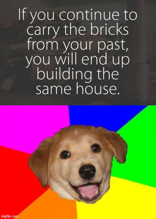 image tagged in memes,advice dog | made w/ Imgflip meme maker