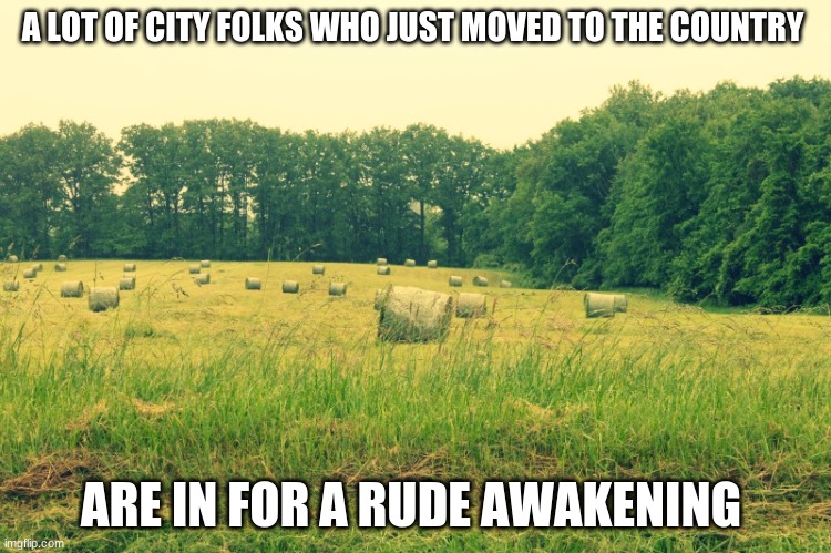 A LOT OF CITY FOLKS WHO JUST MOVED TO THE COUNTRY; ARE IN FOR A RUDE AWAKENING | image tagged in survival | made w/ Imgflip meme maker