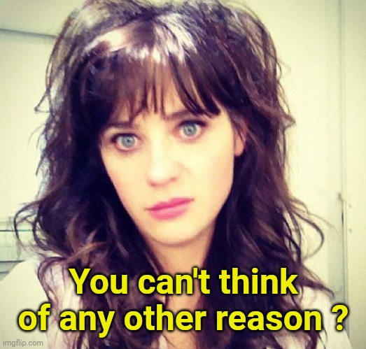 Zooey Deschanel | You can't think of any other reason ? | image tagged in zooey deschanel | made w/ Imgflip meme maker