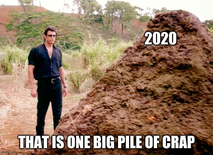 Memes, Poop, Jurassic Park | 2020; THAT IS ONE BIG PILE OF CRAP | image tagged in memes poop jurassic park | made w/ Imgflip meme maker
