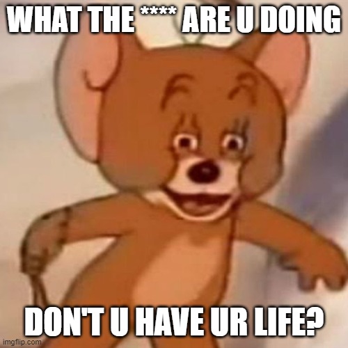 Polish Jerry | WHAT THE **** ARE U DOING; DON'T U HAVE UR LIFE? | image tagged in polish jerry | made w/ Imgflip meme maker