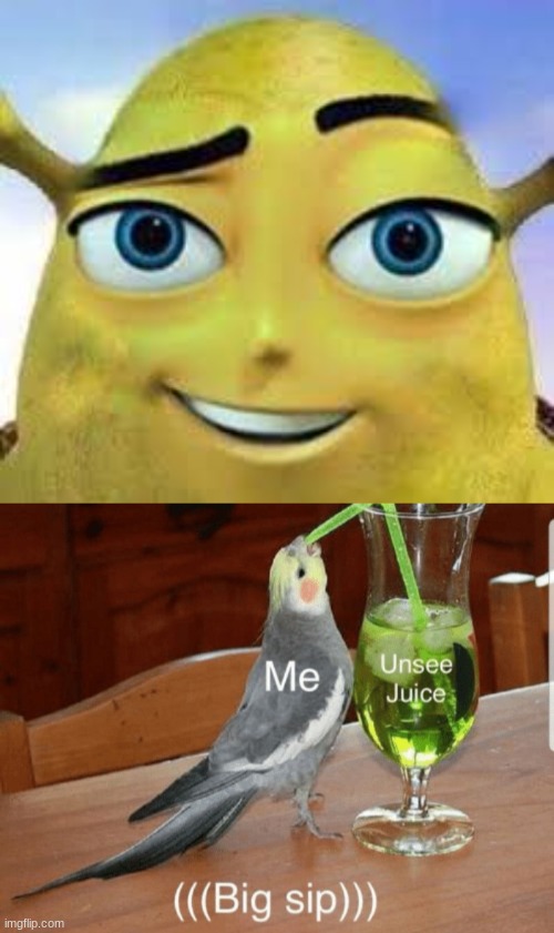 OUT OF THIS HOUSE! | image tagged in unsee juice | made w/ Imgflip meme maker