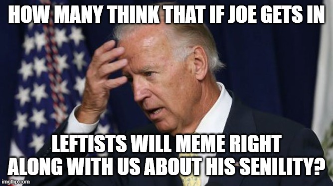 Meme along with us | HOW MANY THINK THAT IF JOE GETS IN; LEFTISTS WILL MEME RIGHT ALONG WITH US ABOUT HIS SENILITY? | image tagged in joe biden worries,president,election 2020 | made w/ Imgflip meme maker