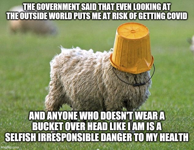 Covid sheep takes it to a whole new level | THE GOVERNMENT SAID THAT EVEN LOOKING AT THE OUTSIDE WORLD PUTS ME AT RISK OF GETTING COVID; AND ANYONE WHO DOESN'T WEAR A BUCKET OVER HEAD LIKE I AM IS A SELFISH IRRESPONSIBLE DANGER TO MY HEALTH | image tagged in stupid sheep,covid-19,masks,hysteria,tyranny | made w/ Imgflip meme maker