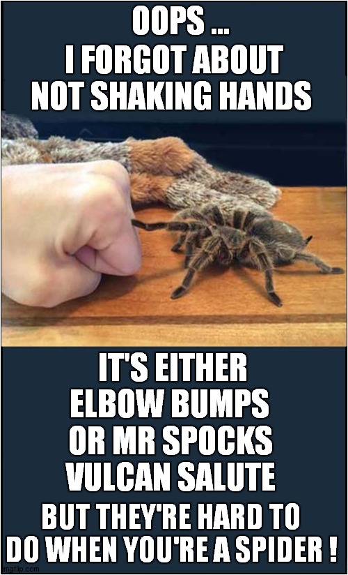 A Gentle Reminder From A Very Friendly Spider ! | OOPS ... I FORGOT ABOUT NOT SHAKING HANDS; IT'S EITHER ELBOW BUMPS; OR MR SPOCKS VULCAN SALUTE; BUT THEY'RE HARD TO DO WHEN YOU'RE A SPIDER ! | image tagged in 2020,handshake,reminder,spider,frontpage | made w/ Imgflip meme maker
