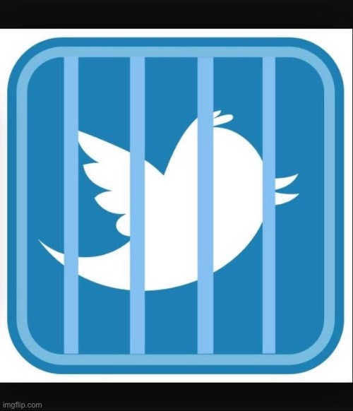 When Trump goes to Twitter jail. | image tagged in twitter jail | made w/ Imgflip meme maker