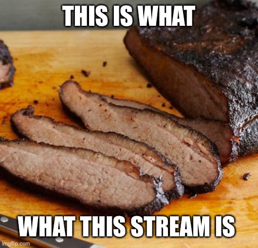 Barbequeu | THIS IS WHAT; WHAT THIS STREAM IS | image tagged in adamson barbecue,barbecue,and,salsa,rebellion,dietaskforce | made w/ Imgflip meme maker