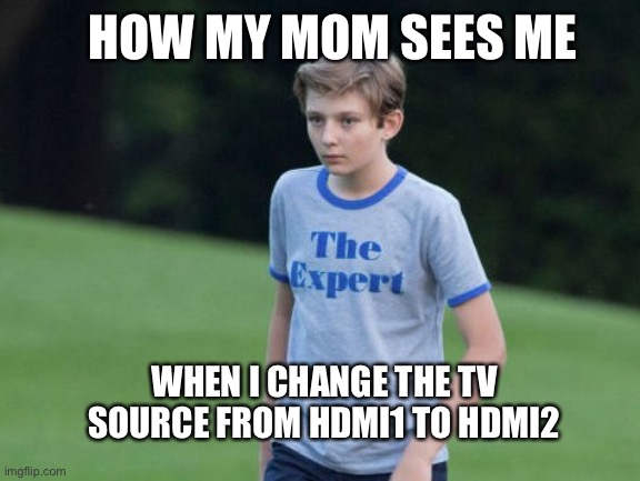 The Expert | HOW MY MOM SEES ME; WHEN I CHANGE THE TV SOURCE FROM HDMI1 TO HDMI2 | image tagged in the expert | made w/ Imgflip meme maker