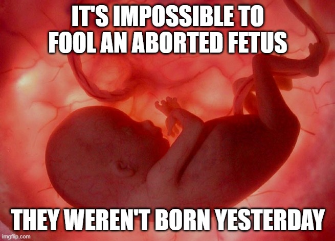 Nobody's Fool | IT'S IMPOSSIBLE TO FOOL AN ABORTED FETUS; THEY WEREN'T BORN YESTERDAY | image tagged in fetus | made w/ Imgflip meme maker