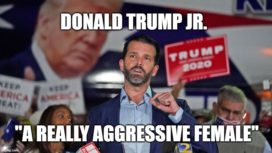 DONALD TRUMP JR. "A REALLY AGGRESSIVE FEMALE" | image tagged in trump | made w/ Imgflip meme maker