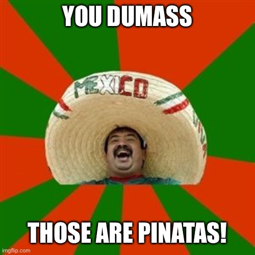 succesful mexican | YOU DUMASS THOSE ARE PINATAS! | image tagged in succesful mexican | made w/ Imgflip meme maker