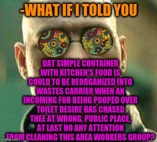 -Shitty pockets. | DAT SIMPLE CONTAINER WITH KITCHEN'S FOOD IS COULD TO BE REORGANIZED INTO WASTES CARRIER WHEN AN INCOMING FOR BEING POOPED OVER TOILET DESIRE HAS CHASED THEE AT WRONG, PUBLIC PLACE, AT LAST NO ANY ATTENTION FROM CLEANING THIS AREA WORKERS GROUP? -WHAT IF I TOLD YOU | image tagged in acid kicks in morpheus,toilet humor,what if i told you,desire,years of academy training wasted,matrix morpheus | made w/ Imgflip meme maker