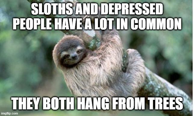 Same Thing | SLOTHS AND DEPRESSED PEOPLE HAVE A LOT IN COMMON; THEY BOTH HANG FROM TREES | image tagged in sloth | made w/ Imgflip meme maker