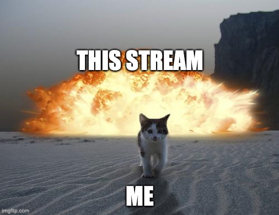 Vote Kjoshua0316 |  THIS STREAM; ME | image tagged in cat explosion | made w/ Imgflip meme maker