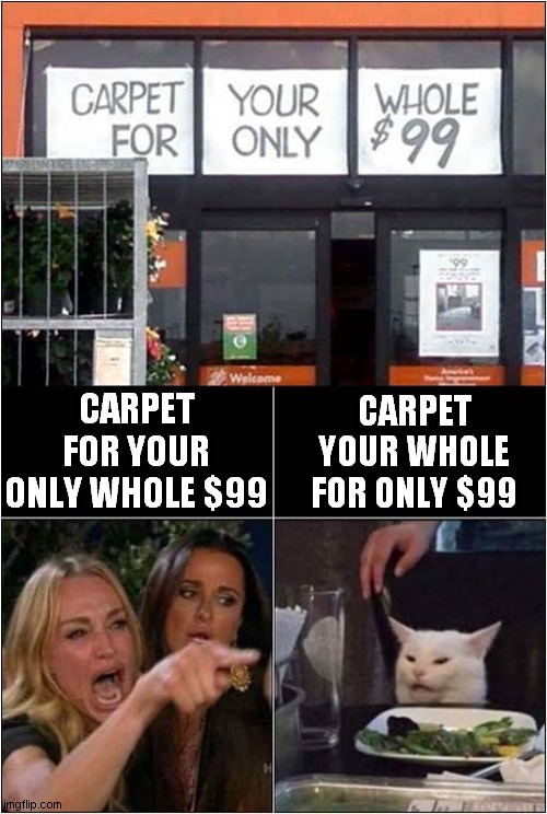 Woman Yelling At Cat About Carpeting Her Whole | CARPET YOUR WHOLE FOR ONLY $99; CARPET FOR YOUR ONLY WHOLE $99 | image tagged in woman yelling at cat,carpet,whole,frontpage | made w/ Imgflip meme maker