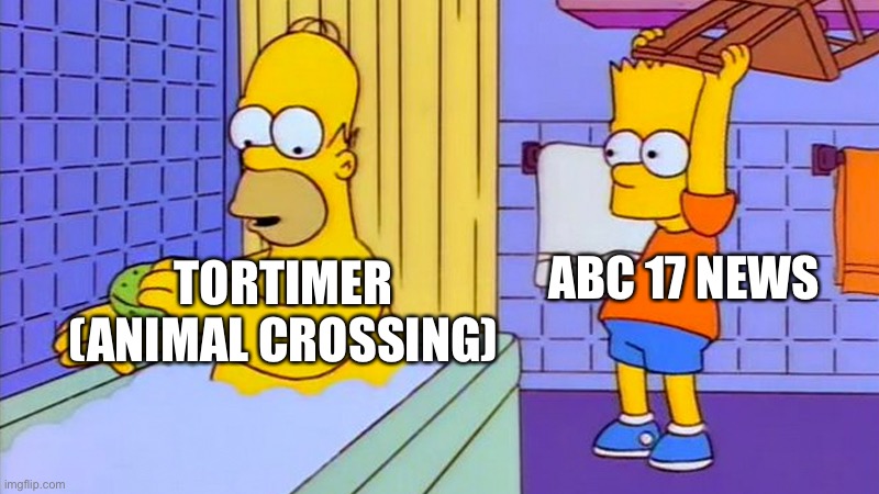 Blaming an unplayable character as a predator is the funniest thing I’ve ever heard | ABC 17 NEWS; TORTIMER
(ANIMAL CROSSING) | image tagged in bart hitting homer with a chair | made w/ Imgflip meme maker