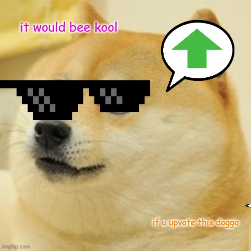 Kool Doge | it would bee kool; if u upvote this doggo | image tagged in memes,doge | made w/ Imgflip meme maker